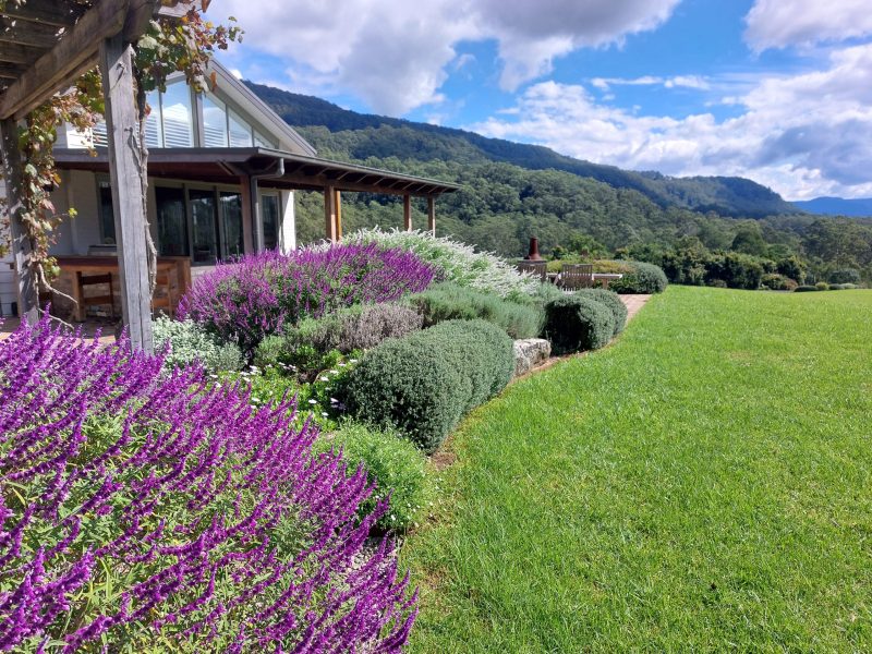 lawn-services-kangaroo-valley1