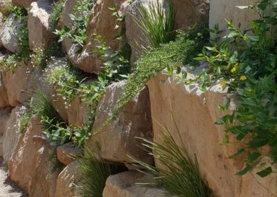 landscaping-services-kangaroo-valley