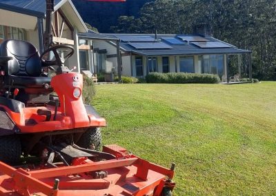 Lawns Mowing Services